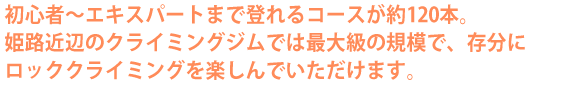初心者~エキスパートまで登れるコースが約120本。姫路近辺のクライミングジムでは最大級の規模で、存分にロッククライミングを楽しんでいただけます